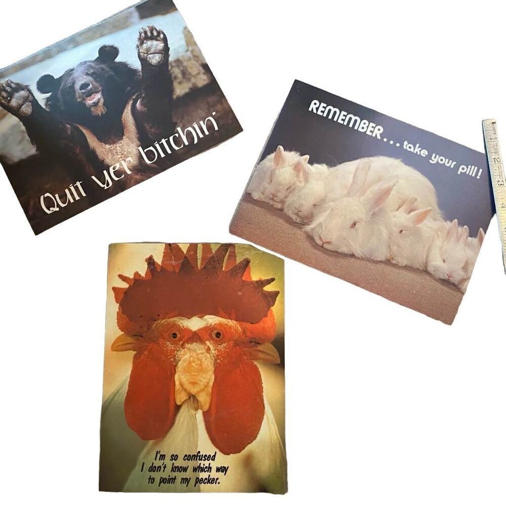 Vintage 1979 Russ Poster Message Mat Set of 3 8” x10” Bear Bunnies Chicken